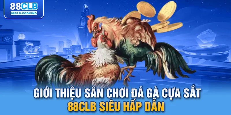 Giới thiệu sân chơi đá gà cựa sắt 88CLB siêu hấp dẫn 