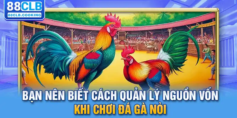 Bạn nên biết cách quản lý nguồn vốn khi chơi đá gà nòi