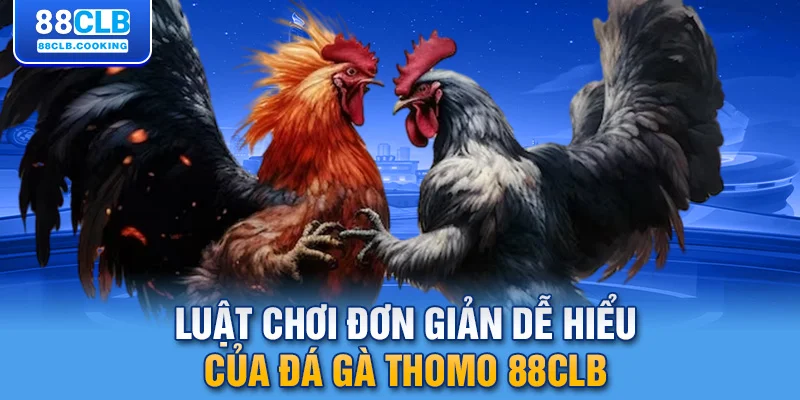 Luật chơi đơn giản dễ hiểu của đá gà Thomo 88CLB