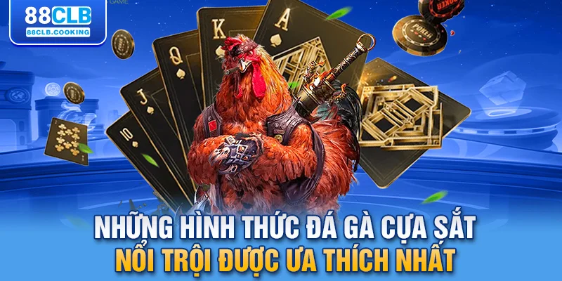 Những hình thức đá gà cựa sắt nổi trội được ưa thích nhất