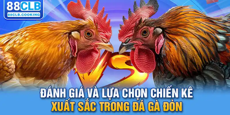 Đánh giá và lựa chọn chiến kê xuất sắc trong đá gà đòn