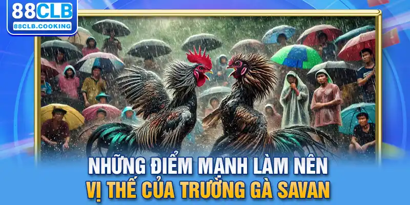 Những điểm mạnh làm nên vị thế của trường gà Savan 