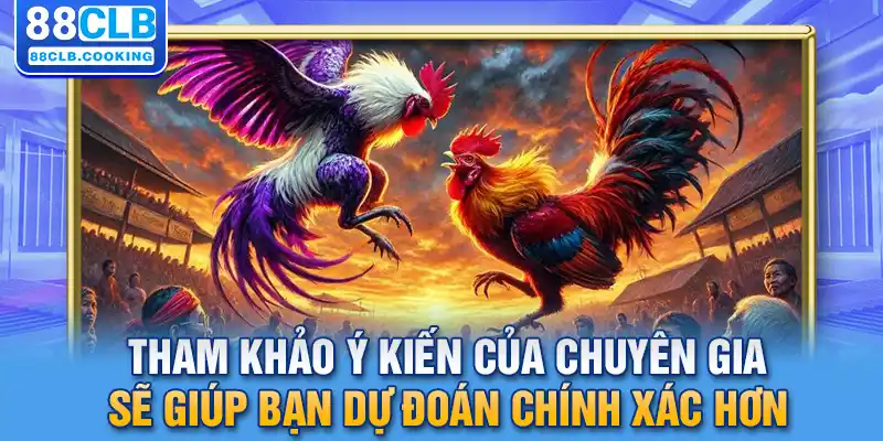 Tham khảo ý kiến của chuyên gia sẽ giúp bạn dự đoán chính xác hơn